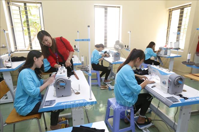 Ly Tu Trong Vocational College (Ha Tinh) provides vocational training for 950 students